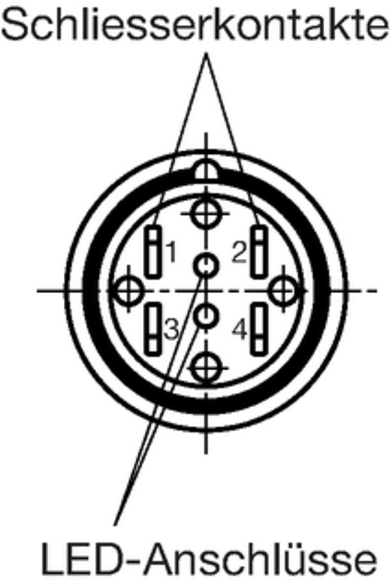 LDS_LDT_Lötösenausführung