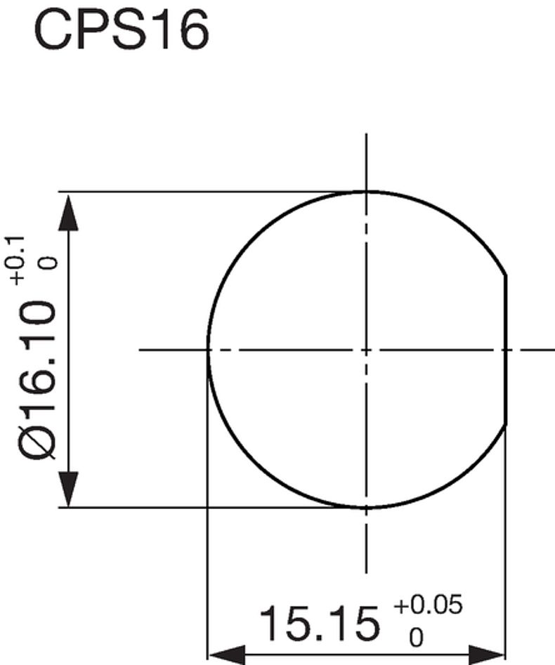CPS_16_Massbild_Plattenausschnitt